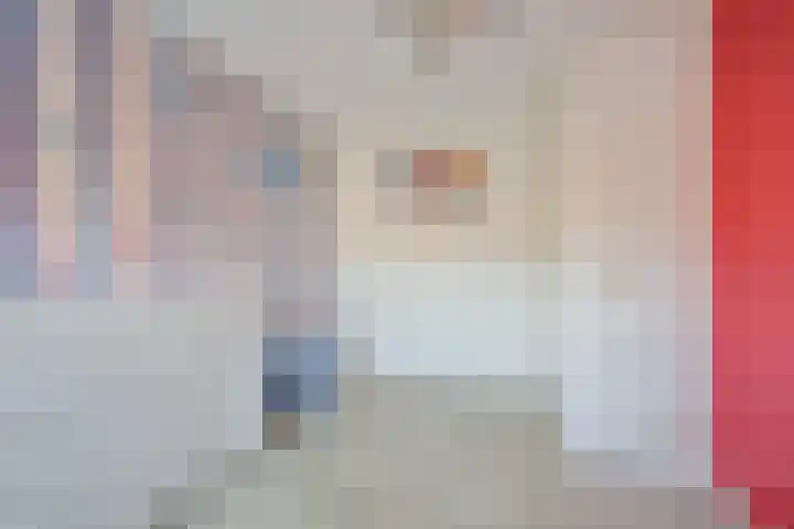 Korte Bosweg 2 't Zand thumbnail 25