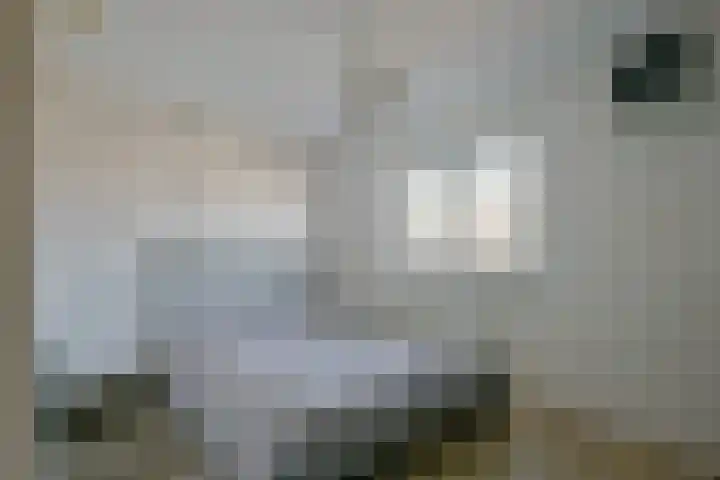 Korte Bosweg 2 't Zand thumbnail 26