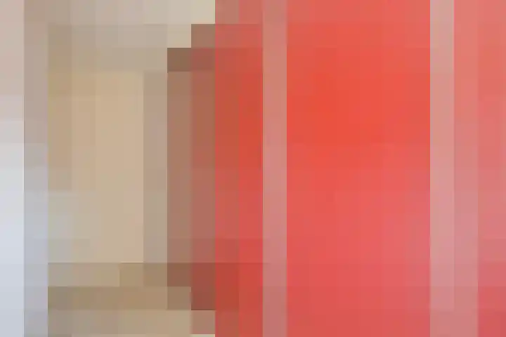 Korte Bosweg 2 't Zand thumbnail 32