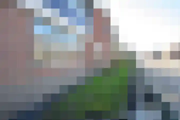 Korte Bosweg 2 't Zand thumbnail 37