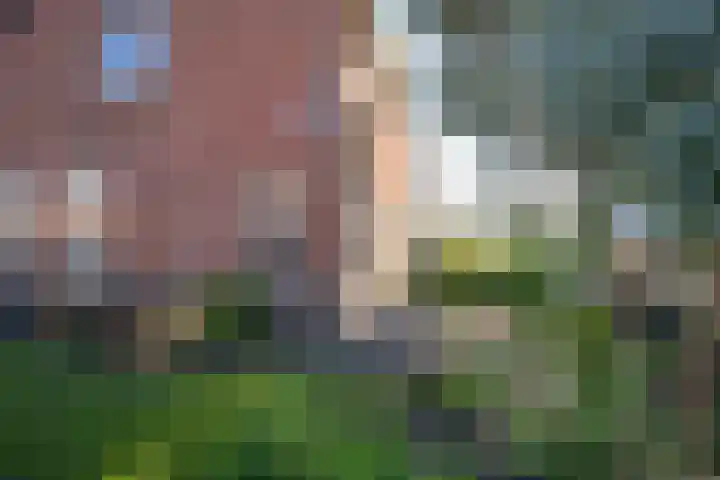 Korte Bosweg 2 't Zand thumbnail 38