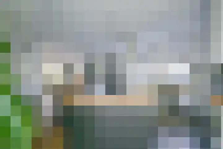 Korte Bosweg 2 't Zand thumbnail 9