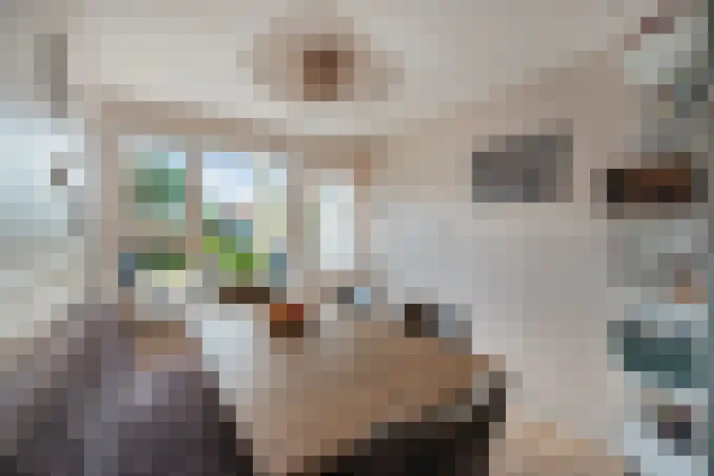 Korte Bosweg 8 't Zand thumbnail 13