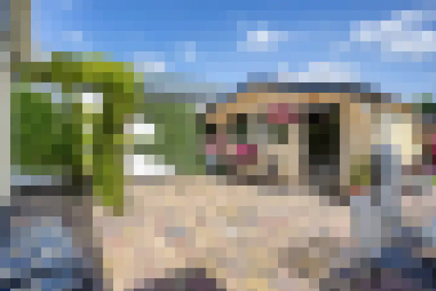 Korte Bosweg 8 't Zand thumbnail 39