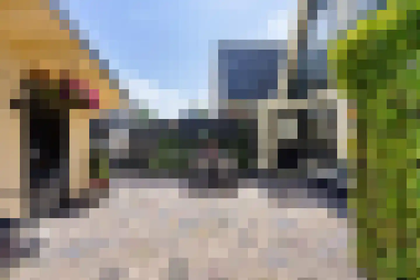 Korte Bosweg 8 't Zand thumbnail 40