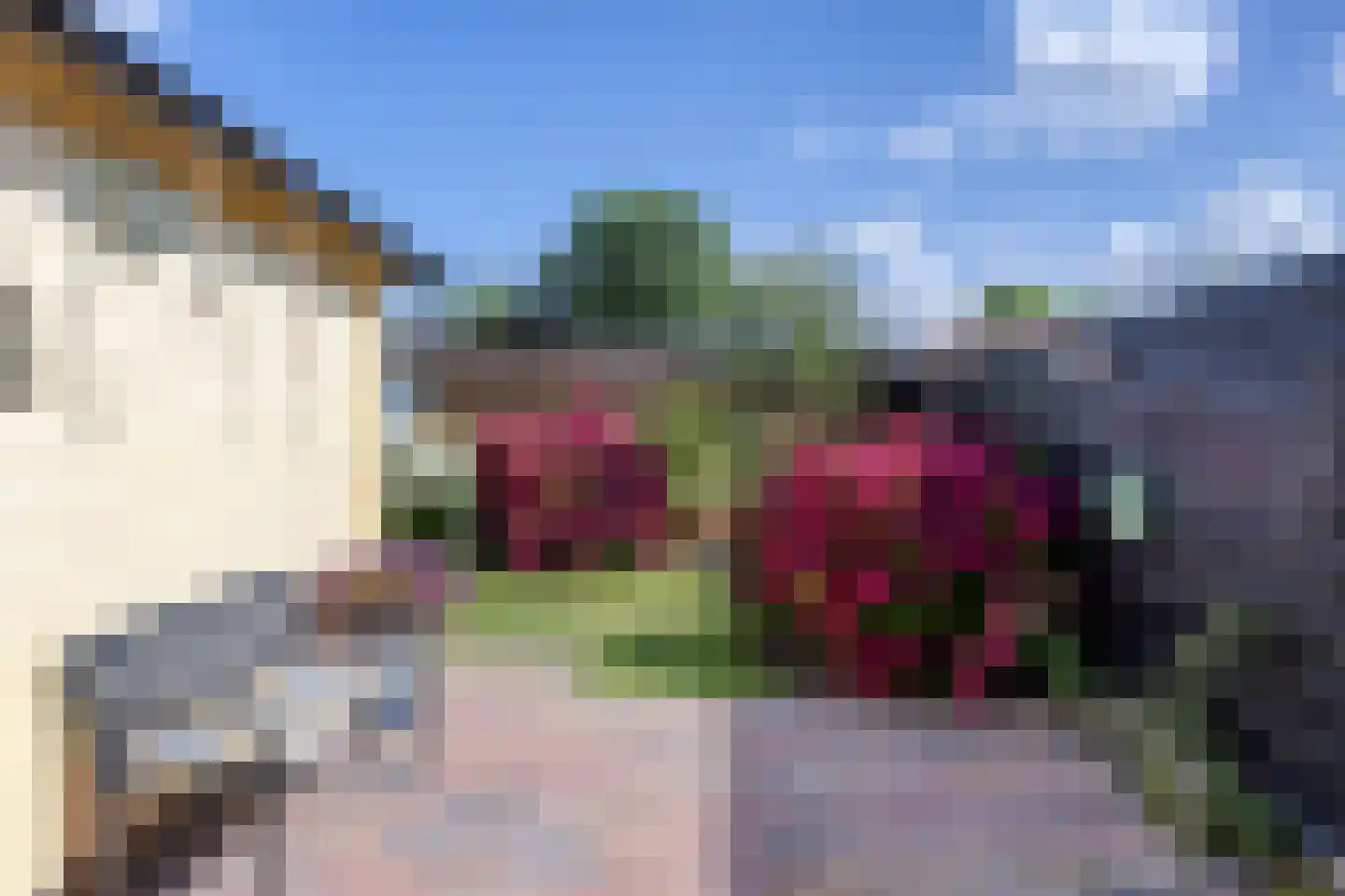 Korte Bosweg 8 't Zand thumbnail 42