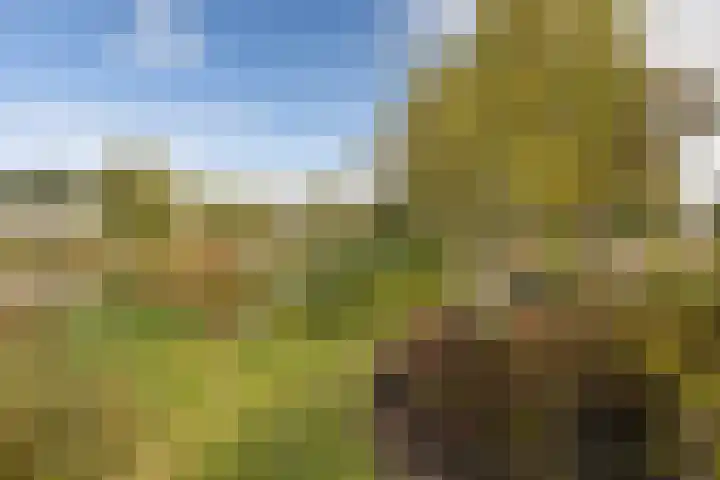 Korte Boterdijk 6 Uithoorn thumbnail 26