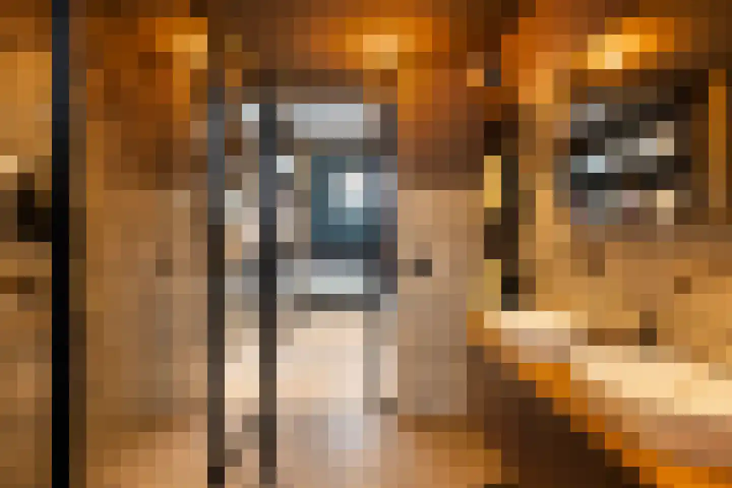 Korte Breehof 4 Dordrecht thumbnail 30