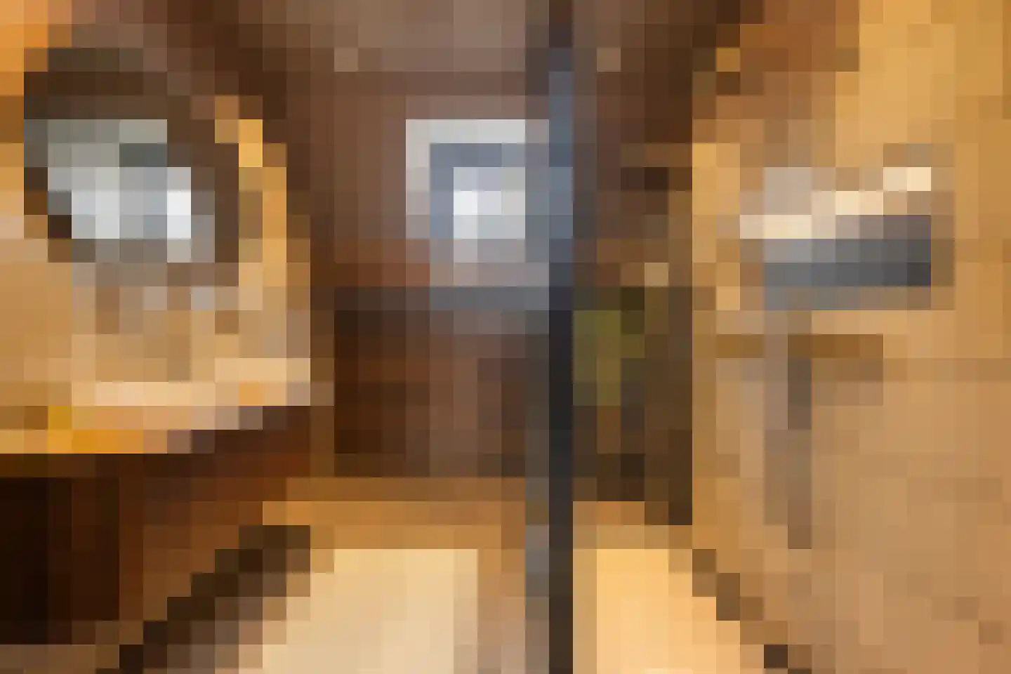 Korte Breehof 4 Dordrecht thumbnail 4