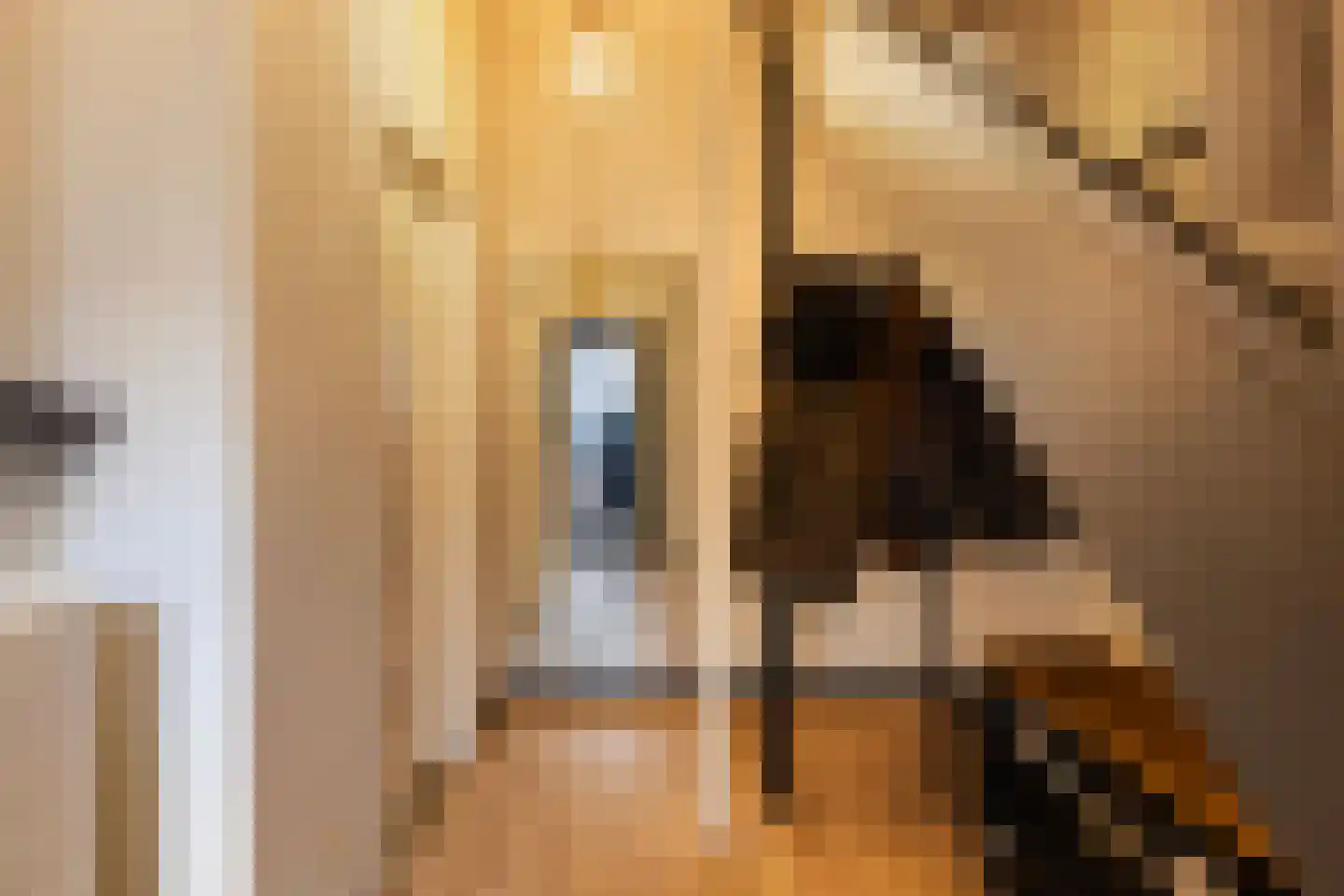 Korte Breehof 4 Dordrecht thumbnail 6