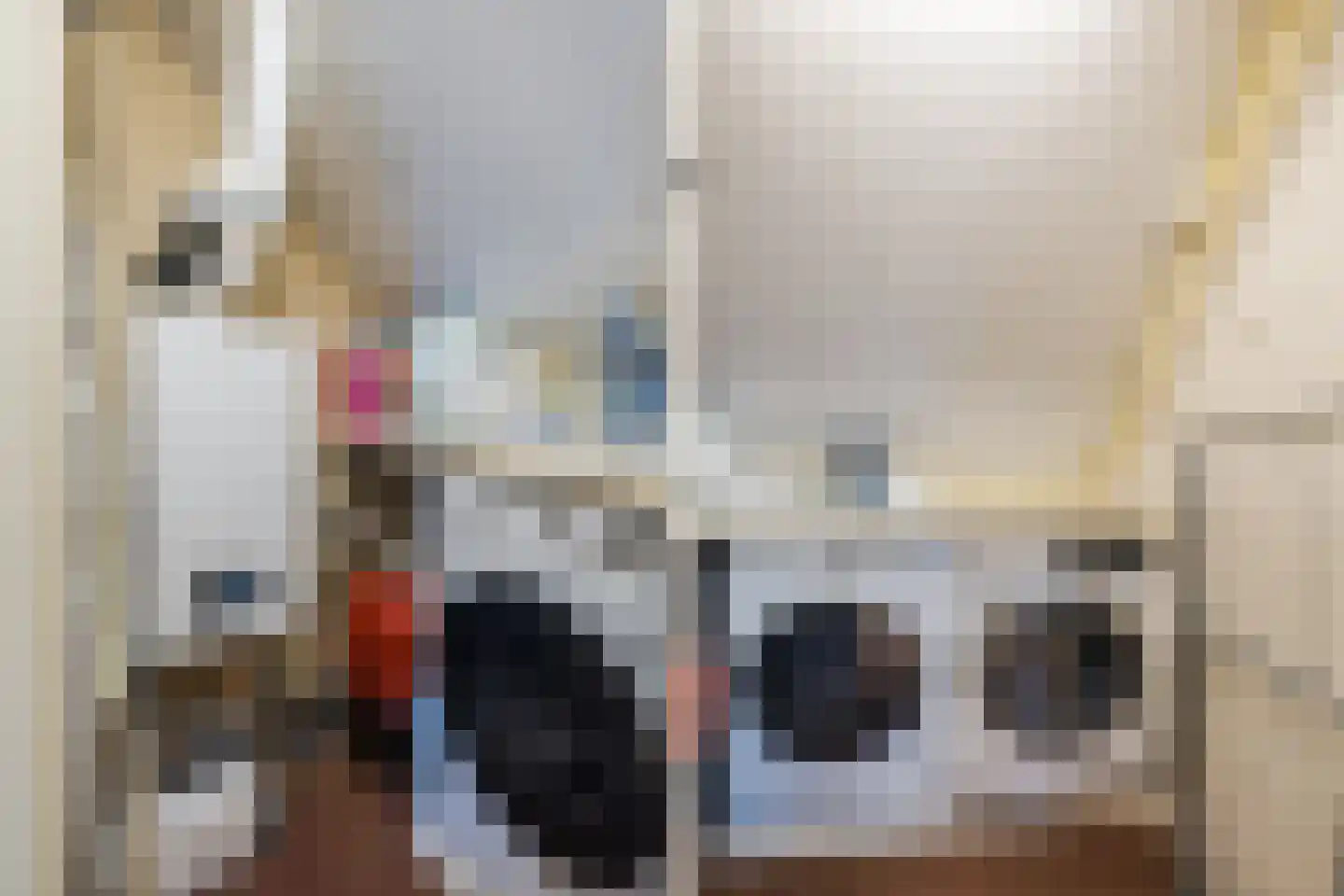 Korte Brinkweg 4 A Soest thumbnail 32