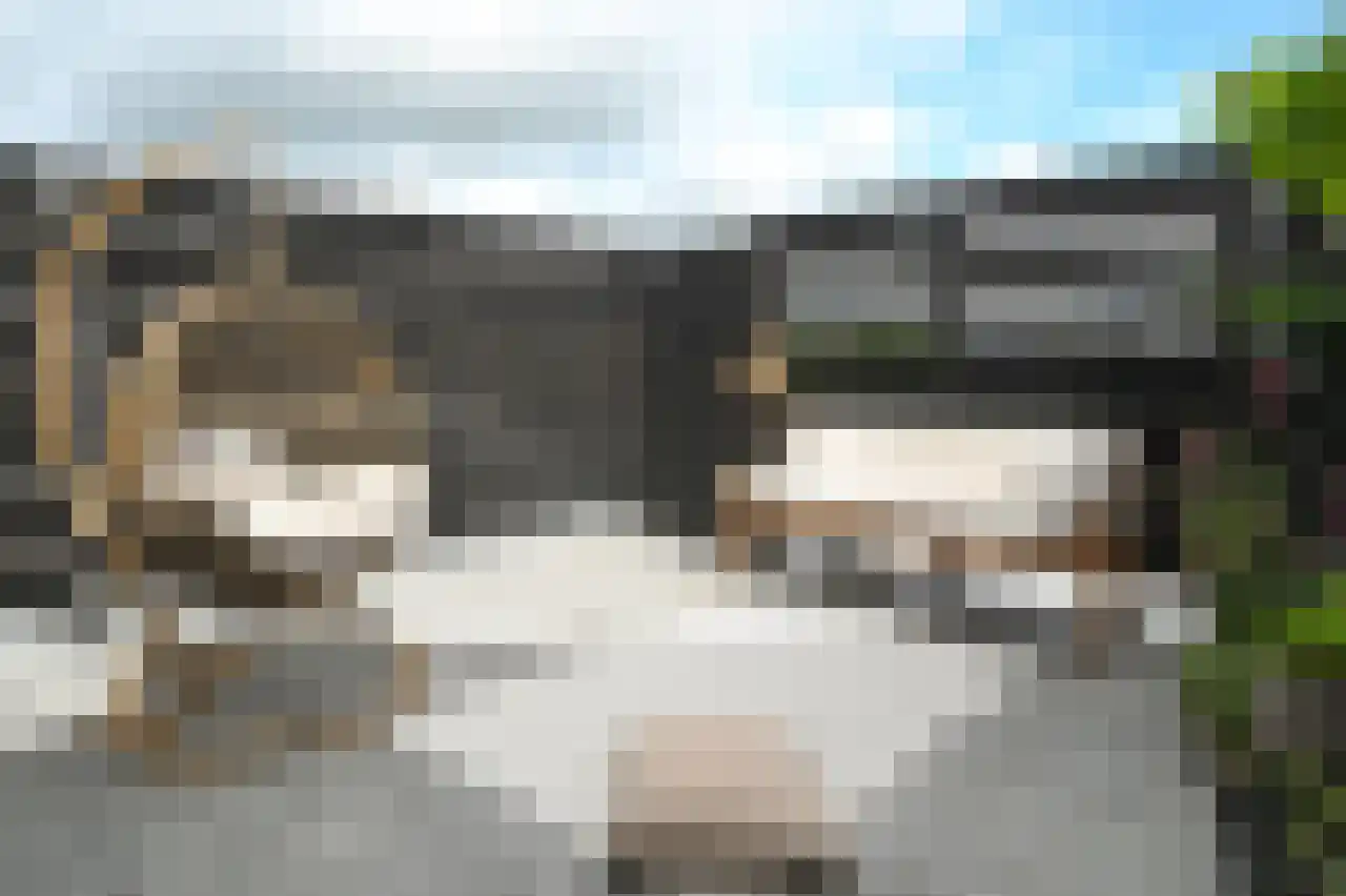 Korte Brinkweg 4 A Soest thumbnail 6