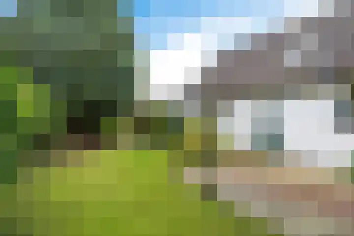 Korte Brinkweg 45 Soest thumbnail 24