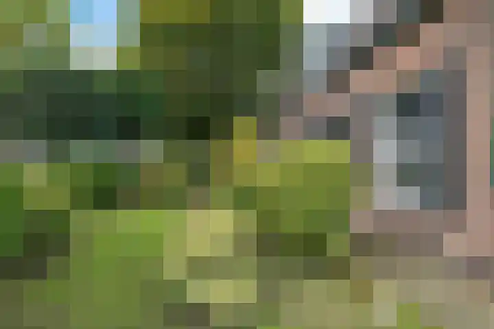 Korte Brinkweg 45 Soest thumbnail 25