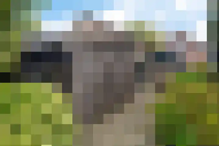 Korte Brinkweg 45 Soest thumbnail 30