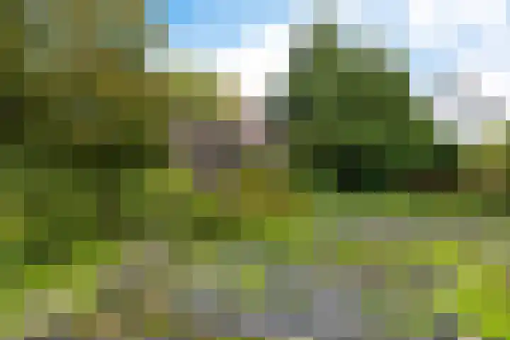 Korte Brinkweg 45 Soest thumbnail 31