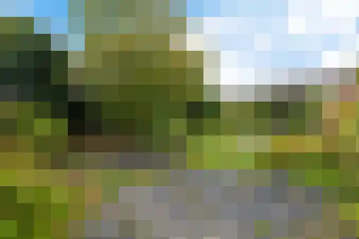 Korte Brinkweg 45 Soest thumbnail 32