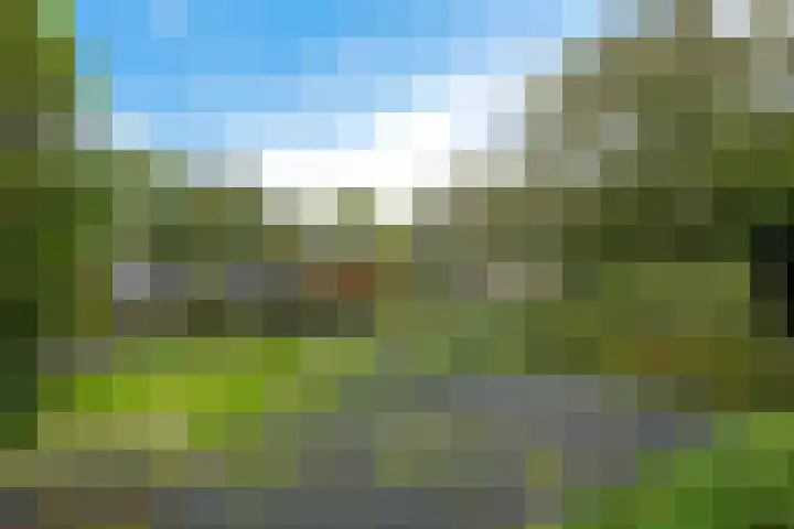 Korte Brinkweg 45 Soest thumbnail 33