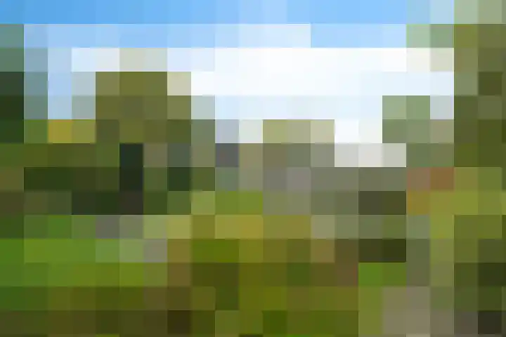 Korte Brinkweg 45 Soest thumbnail 34