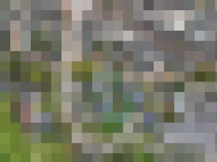 Korte Brinkweg 45 Soest thumbnail 37