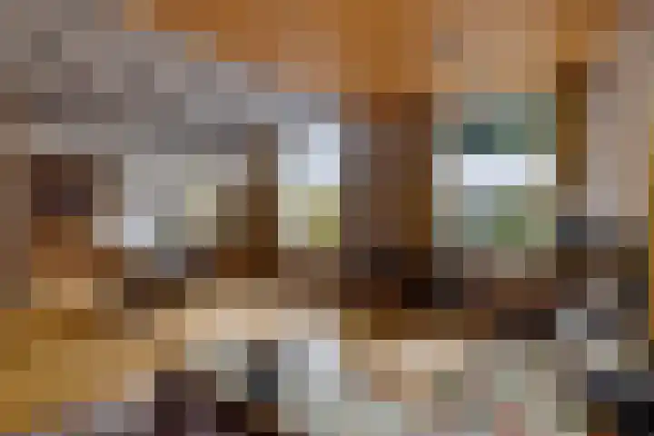 Korte Brinkweg 45 Soest thumbnail 8