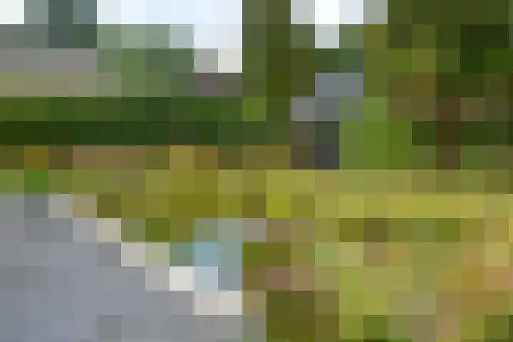 Korte Brinkweg 63 A Soest thumbnail 35