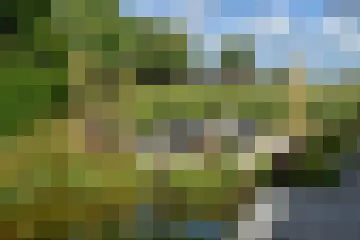 Korte Brinkweg 63 A Soest thumbnail 36