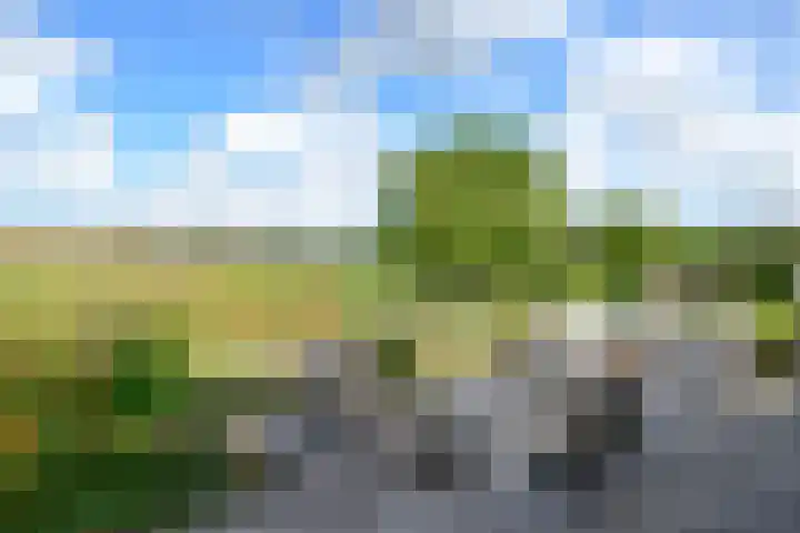 Korte Brinkweg 63 A Soest thumbnail 38