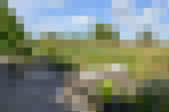 Korte Brinkweg 63 A Soest thumbnail 39