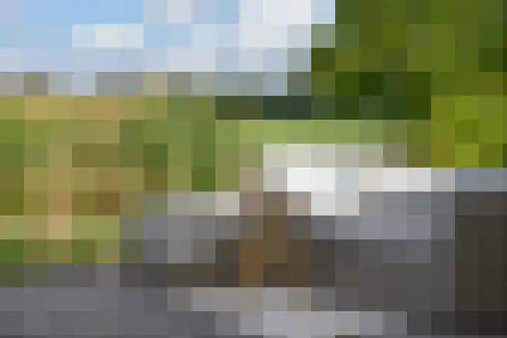 Korte Brinkweg 63 A Soest thumbnail 40