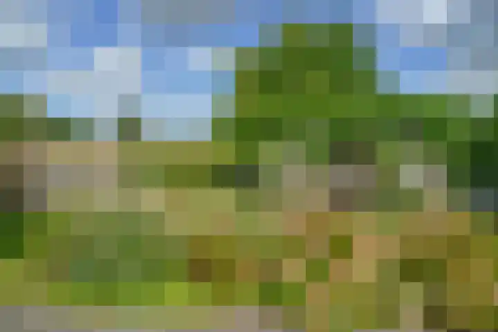 Korte Brinkweg 63 A Soest thumbnail 41