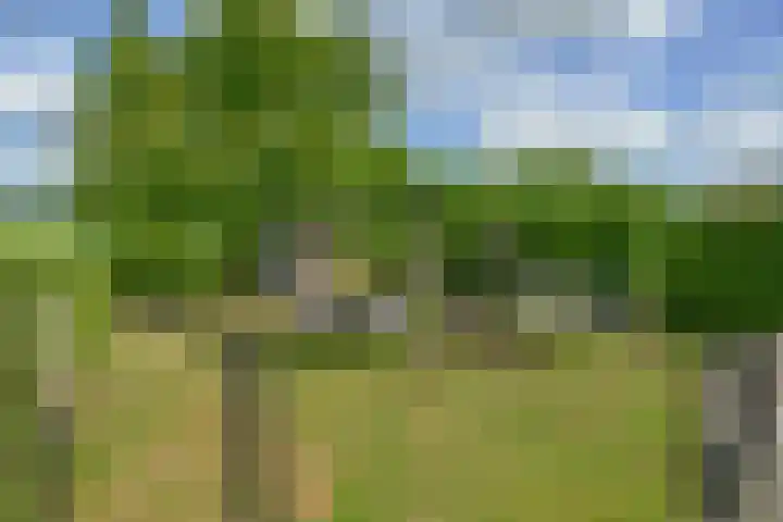 Korte Brinkweg 63 A Soest thumbnail 42