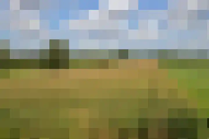 Korte Brinkweg 63 A Soest thumbnail 46