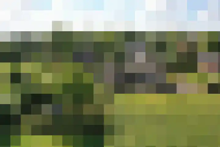 Korte Brinkweg 63 A Soest thumbnail 47