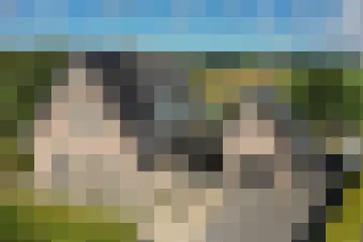 Korte Brinkweg 63 A Soest thumbnail 48