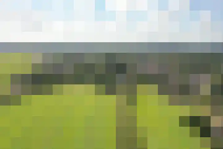 Korte Brinkweg 63 A Soest thumbnail 49