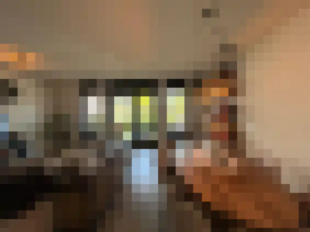 Korte Brugstraat Etten-Leur thumbnail 4