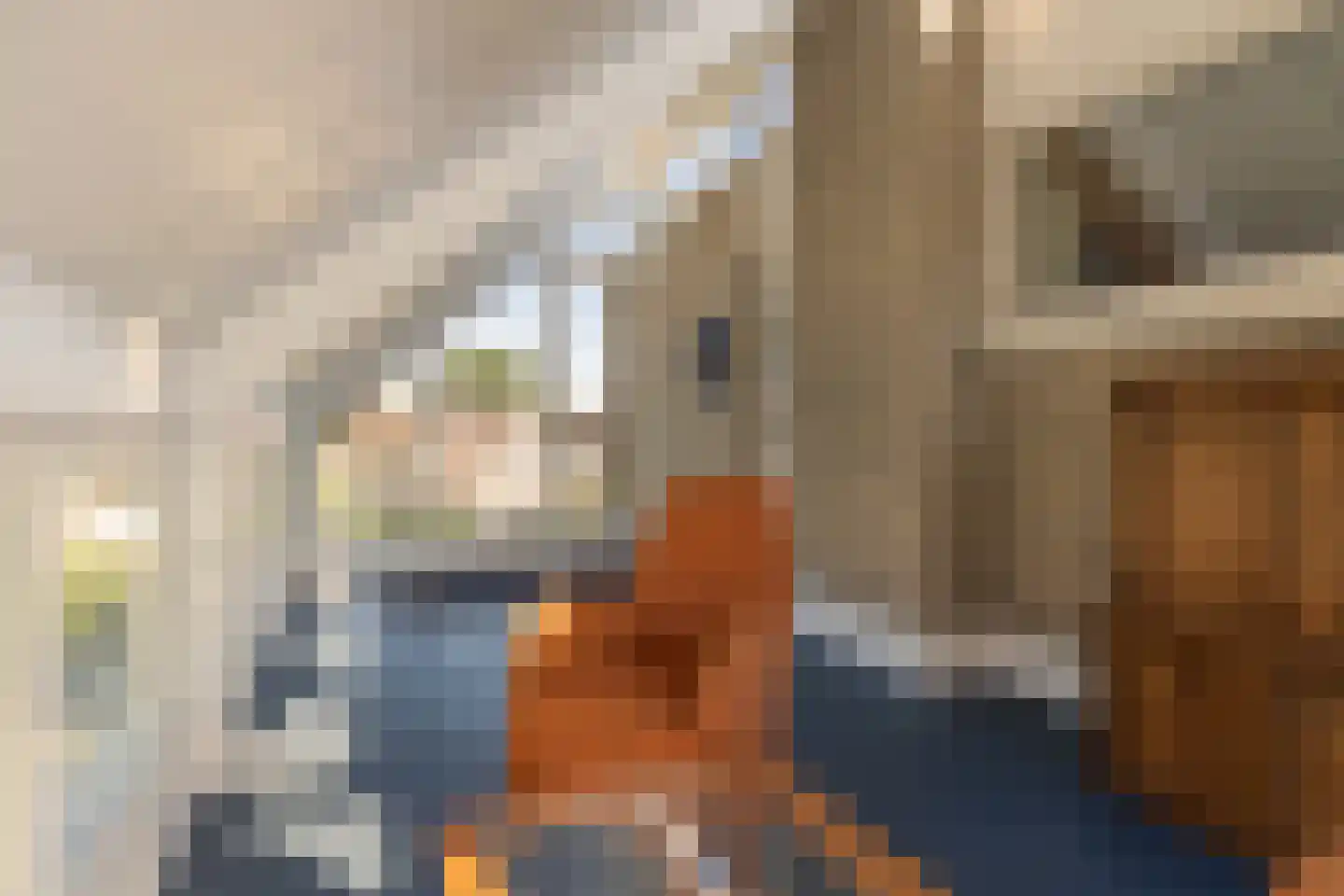 Korte Bunder 12 Hoeven thumbnail 32