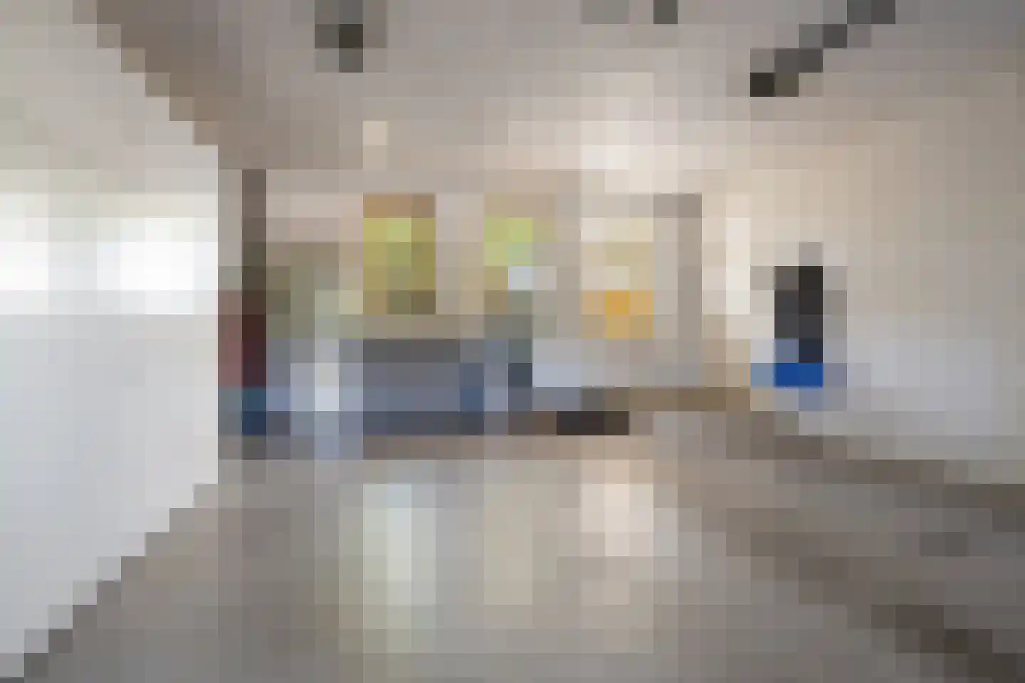 Korte Bunder 12 Hoeven thumbnail 36