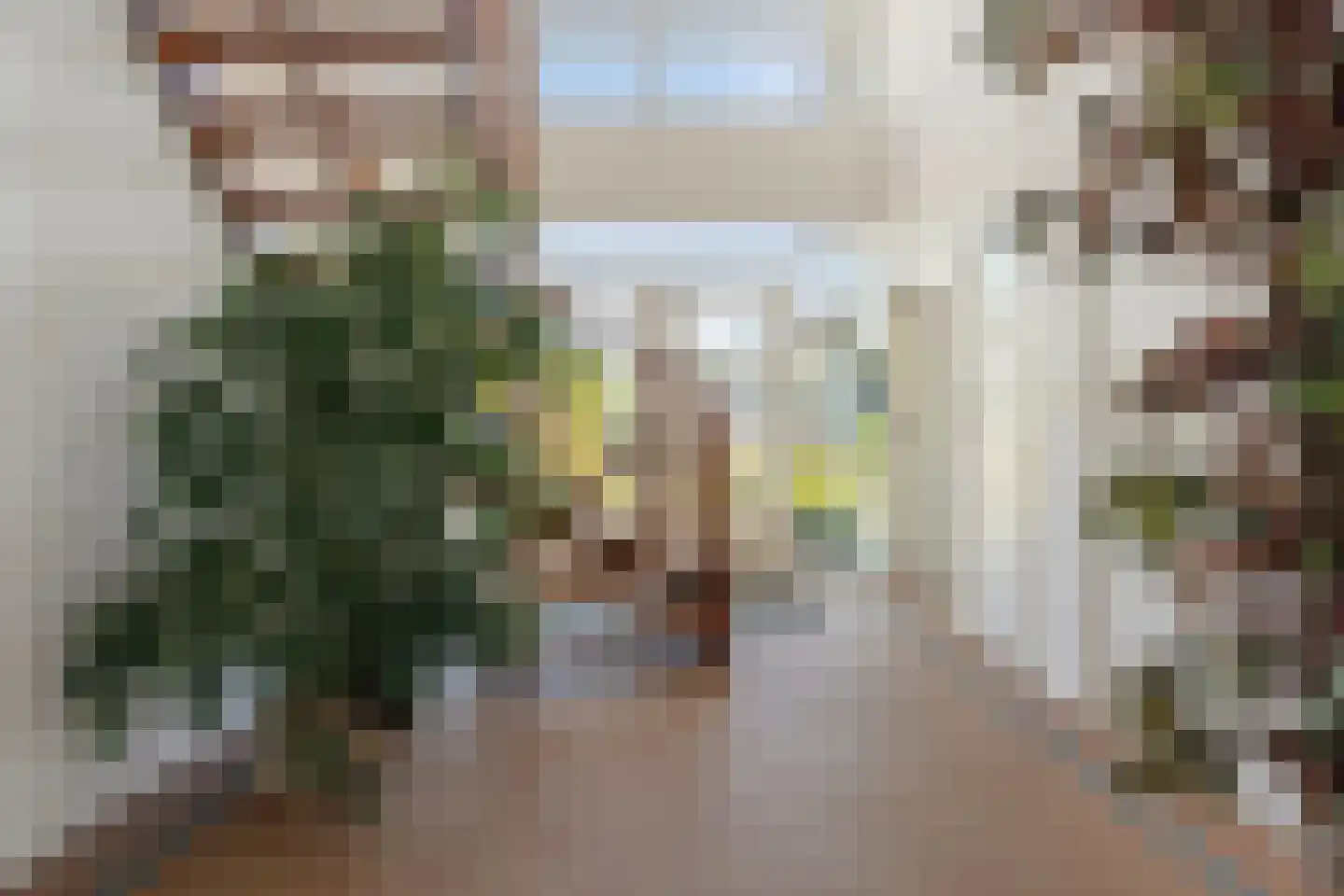 Korte Bunder 12 Hoeven thumbnail 42