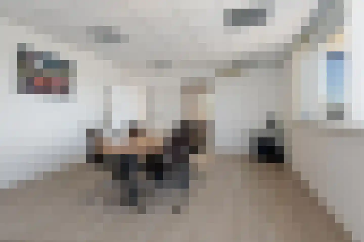 Korte Bunder 12 Hoeven thumbnail 60