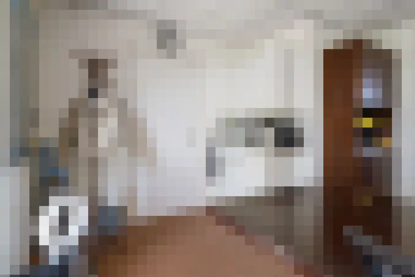 Korte Bunder 12 Hoeven thumbnail 70