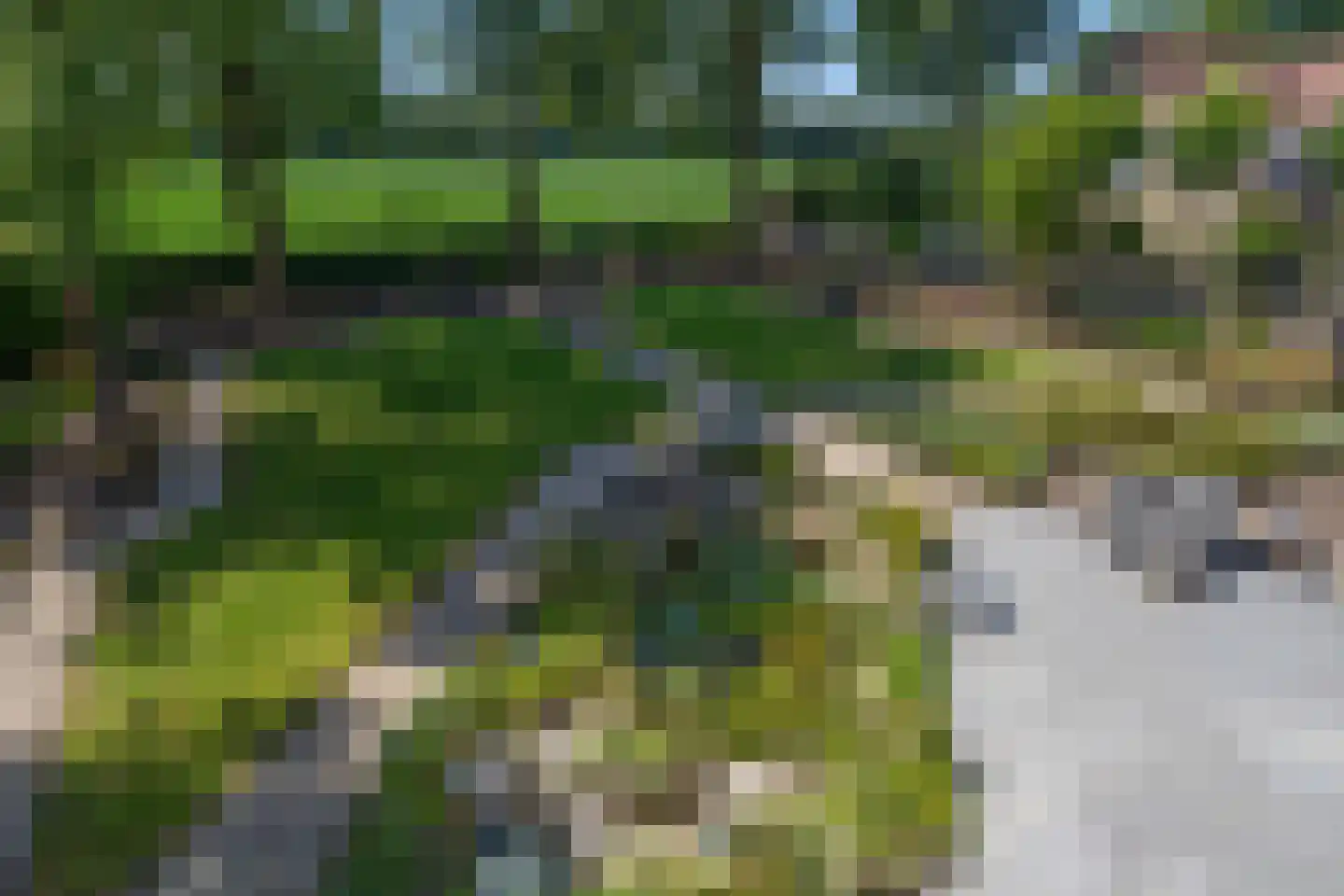 Korte Bunder 12 Hoeven thumbnail 74