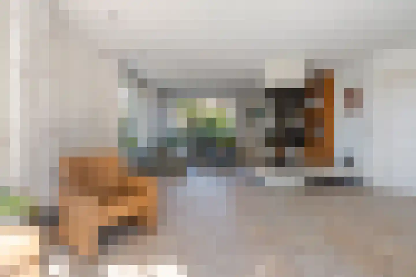 Korte Bunder 12 Hoeven thumbnail 8