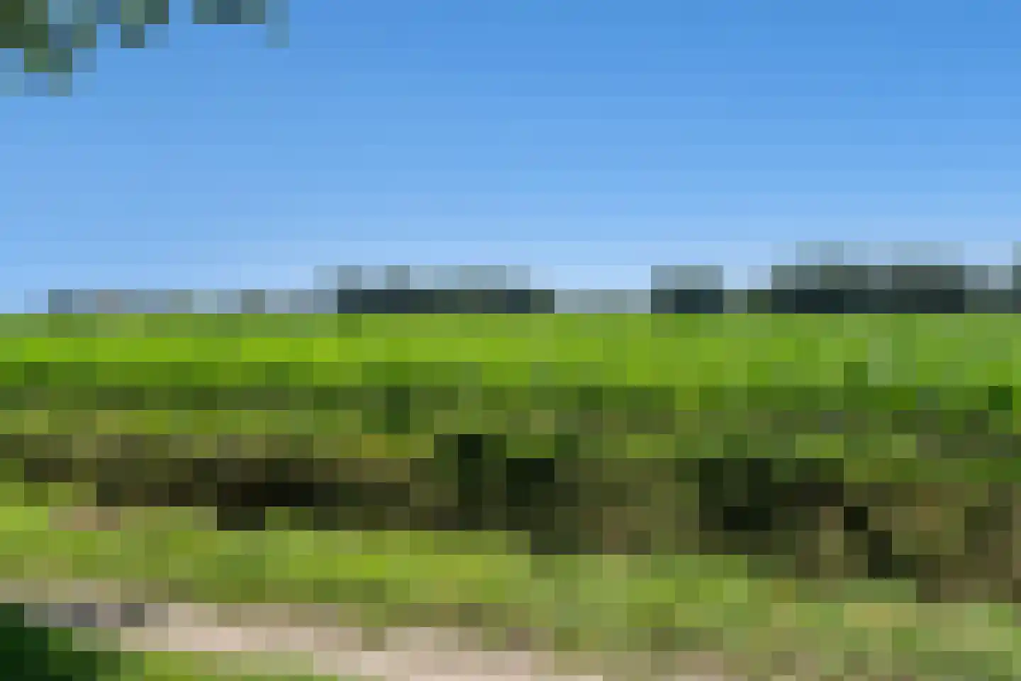Korte Bunder 12 Hoeven thumbnail 80