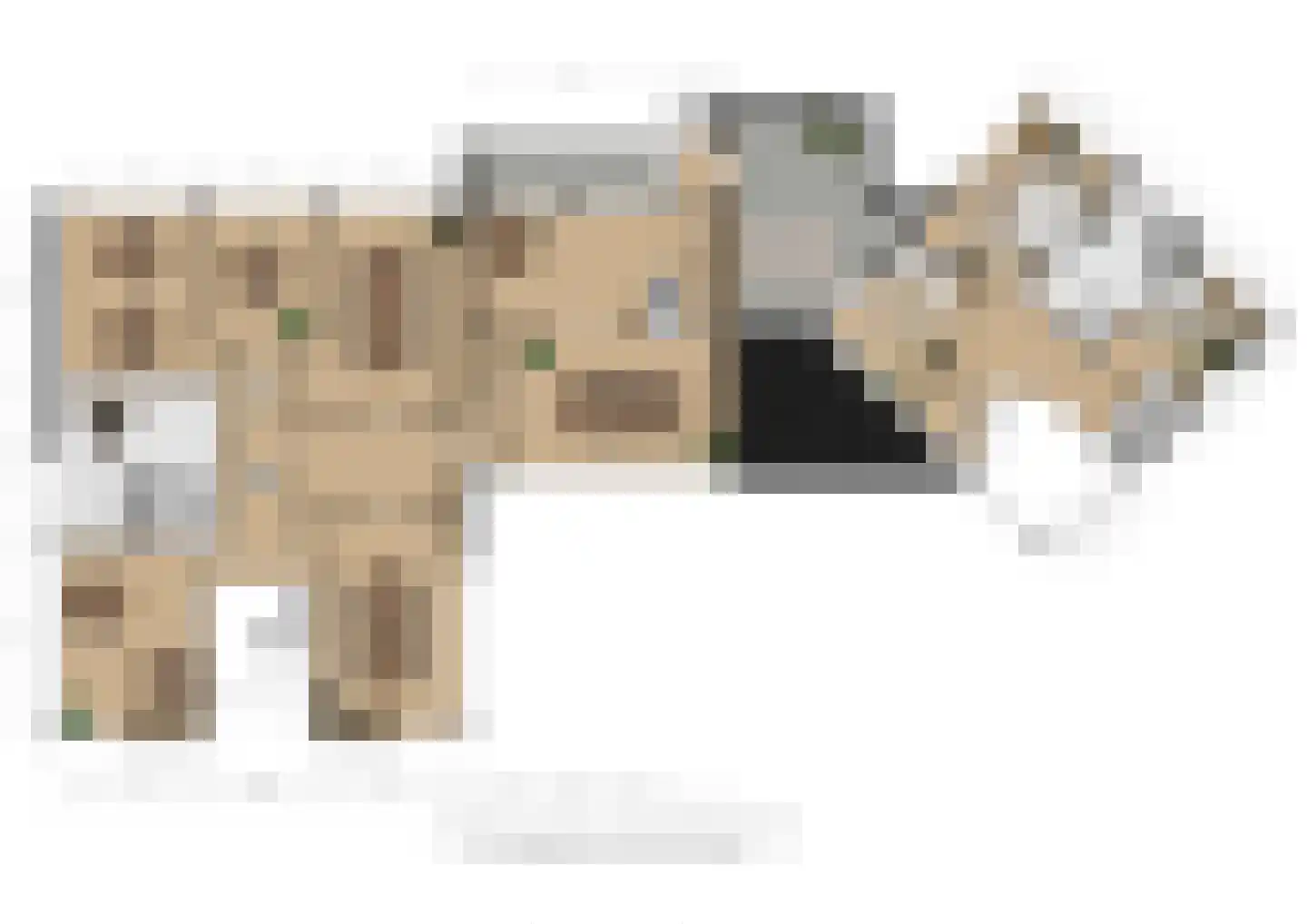 Korte Bunder 12 Hoeven thumbnail 89