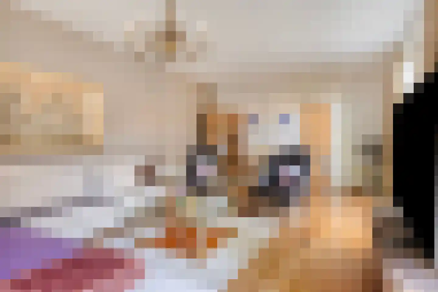 Korte Burg 1 Middelburg thumbnail 13