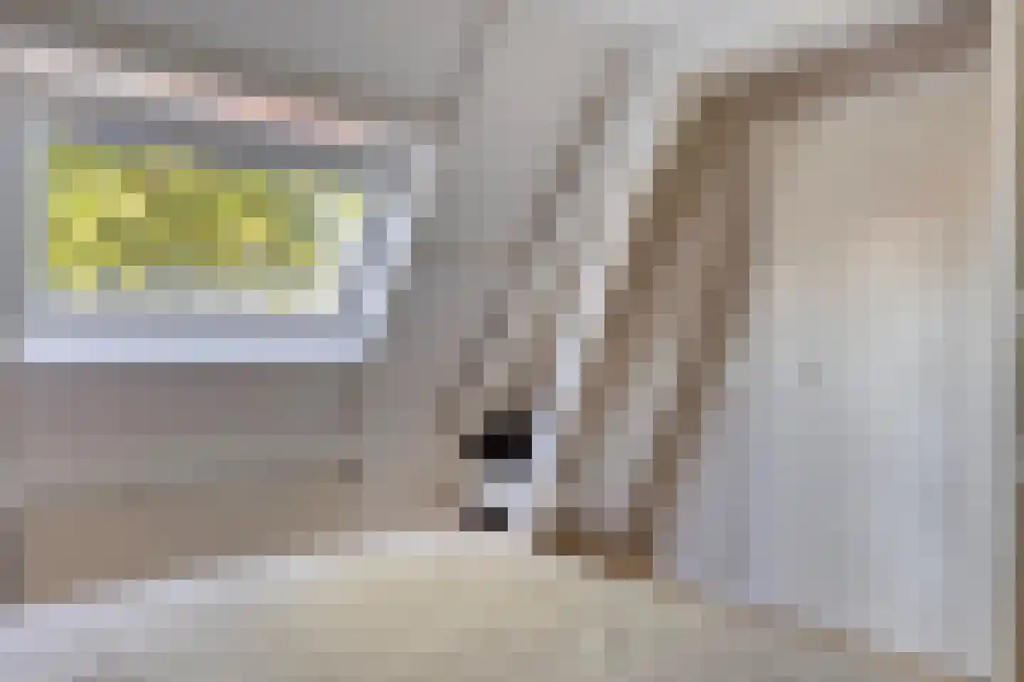 Korte Burg 1 Middelburg thumbnail 25