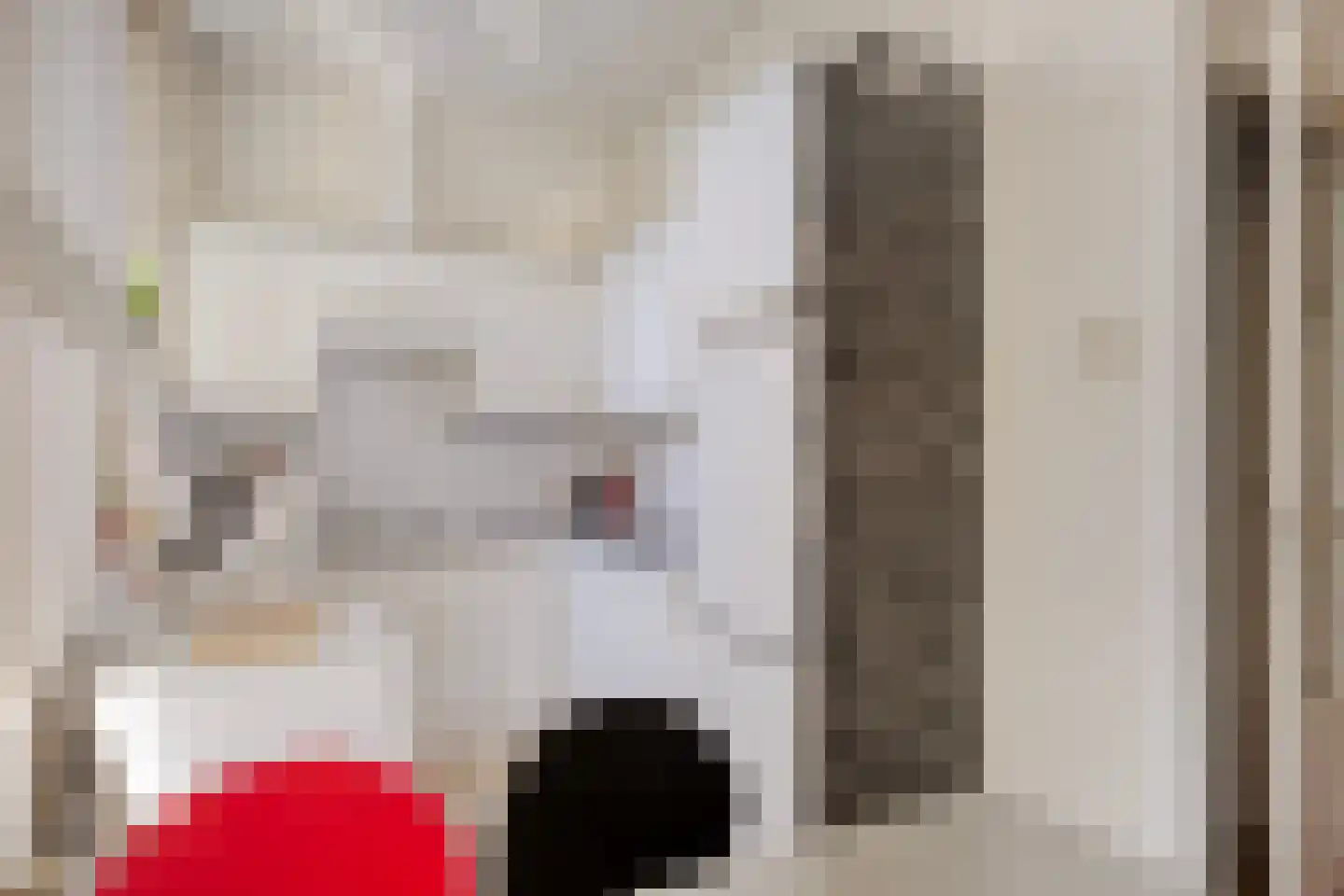 Korte Burg 1 Middelburg thumbnail 28