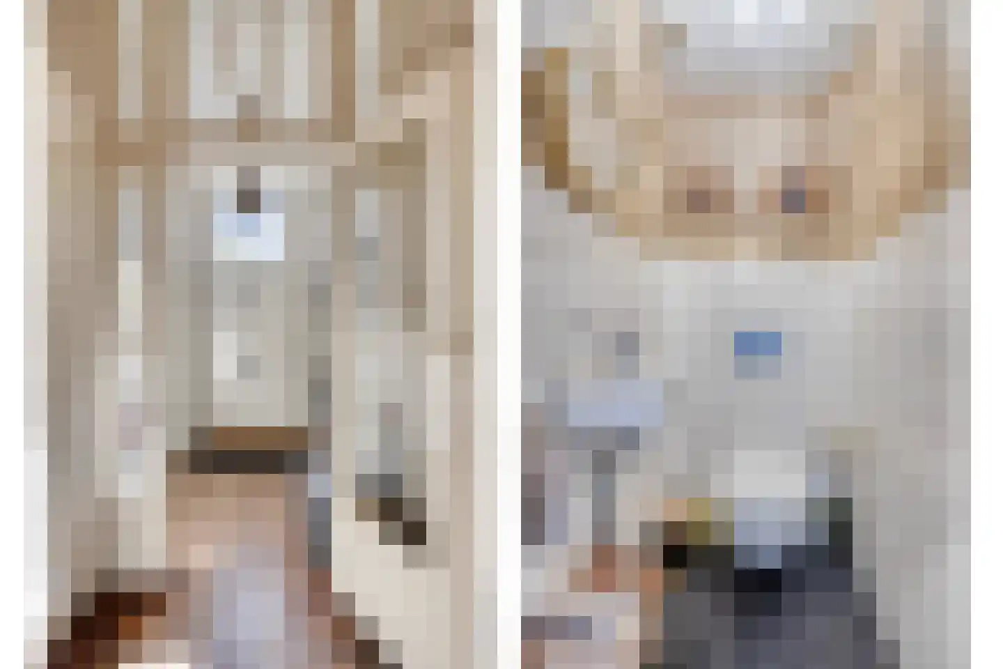 Korte Burg 1 Middelburg thumbnail 4